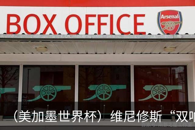 （美加墨世界杯）维尼修斯“双响”助巴西头名晋级 摩洛哥4：2胜海地